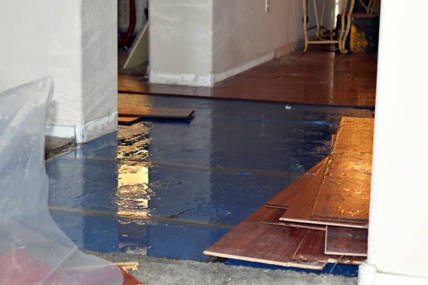 Professional Basement Flood Cleanup technician working in Wilmington, MA